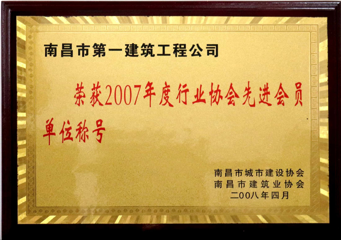 2008.4 2007年度行業(yè)協會先進會員單位稱號.jpg